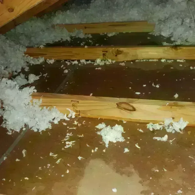 Attic Water Damage in Del Rey Oaks, CA